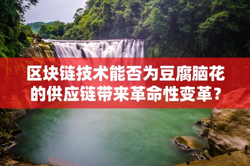 区块链技术能否为豆腐脑花的供应链带来革命性变革？