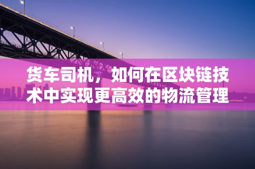 货车司机，如何在区块链技术中实现更高效的物流管理？