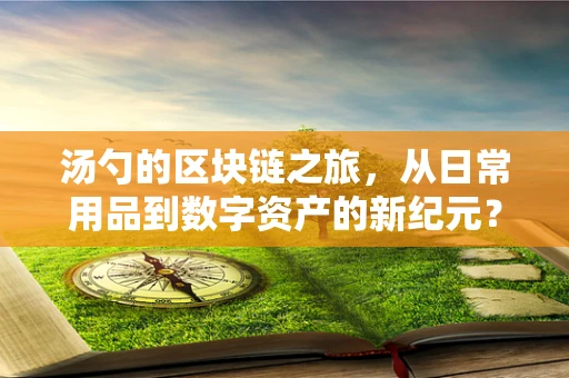 汤勺的区块链之旅，从日常用品到数字资产的新纪元？