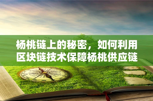 杨桃链上的秘密，如何利用区块链技术保障杨桃供应链的透明与安全？