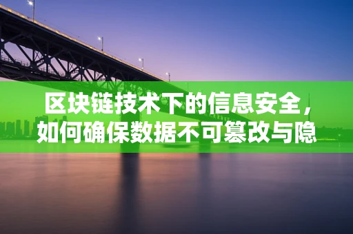 区块链技术下的信息安全，如何确保数据不可篡改与隐私保护？