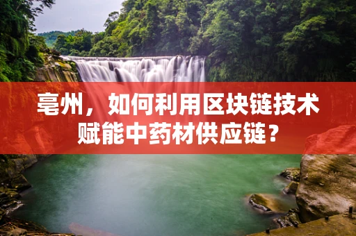 亳州，如何利用区块链技术赋能中药材供应链？