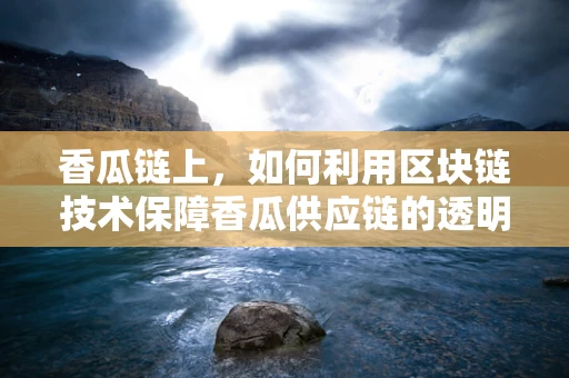 香瓜链上，如何利用区块链技术保障香瓜供应链的透明与安全？