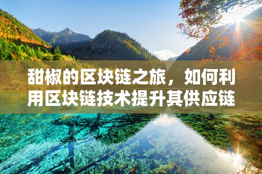 甜椒的区块链之旅，如何利用区块链技术提升其供应链透明度？