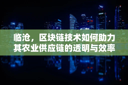 临沧，区块链技术如何助力其农业供应链的透明与效率？