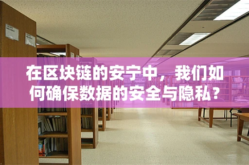 在区块链的安宁中，我们如何确保数据的安全与隐私？