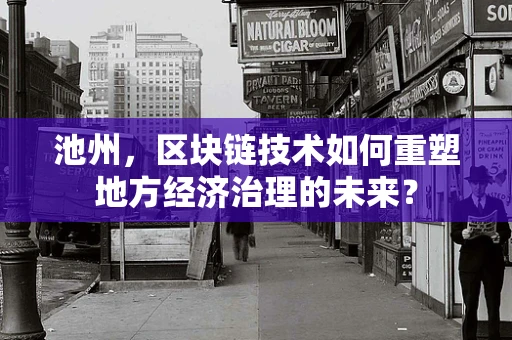 池州，区块链技术如何重塑地方经济治理的未来？