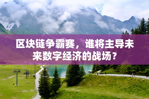 区块链争霸赛，谁将主导未来数字经济的战场？