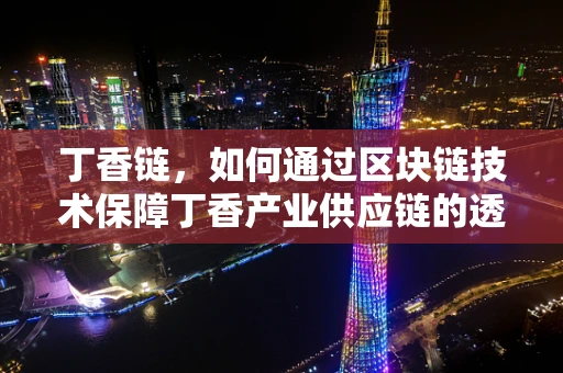 丁香链，如何通过区块链技术保障丁香产业供应链的透明与安全？