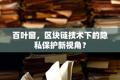 百叶窗，区块链技术下的隐私保护新视角？