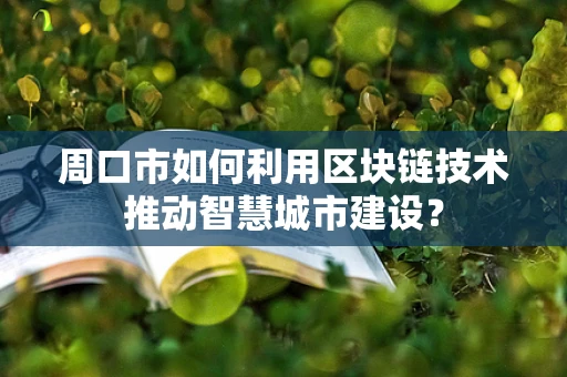 周口市如何利用区块链技术推动智慧城市建设？