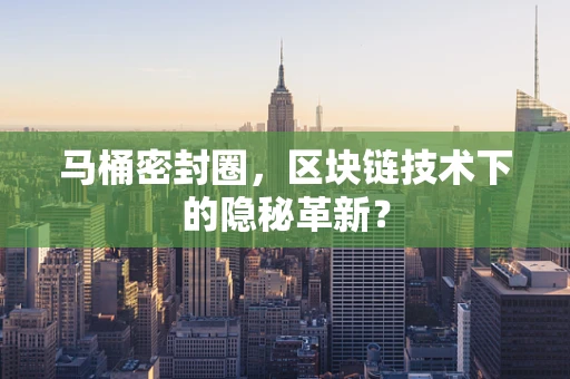 马桶密封圈，区块链技术下的隐秘革新？