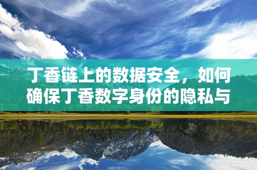 丁香链上的数据安全，如何确保丁香数字身份的隐私与不可篡改性？