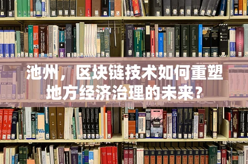 池州，区块链技术如何重塑地方经济治理的未来？