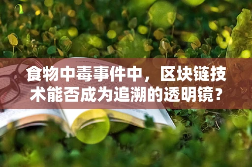 食物中毒事件中，区块链技术能否成为追溯的透明镜？