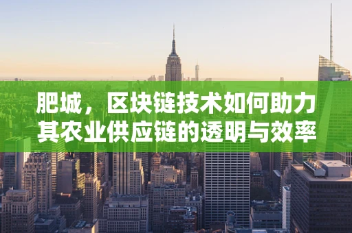 肥城，区块链技术如何助力其农业供应链的透明与效率？