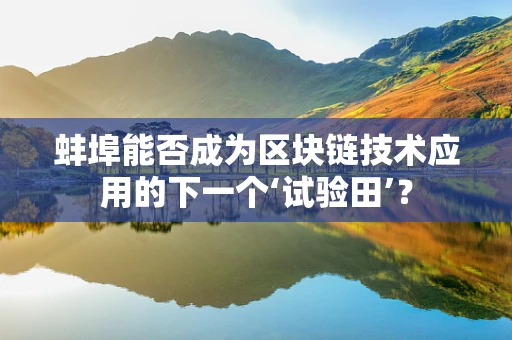 蚌埠能否成为区块链技术应用的下一个‘试验田’？