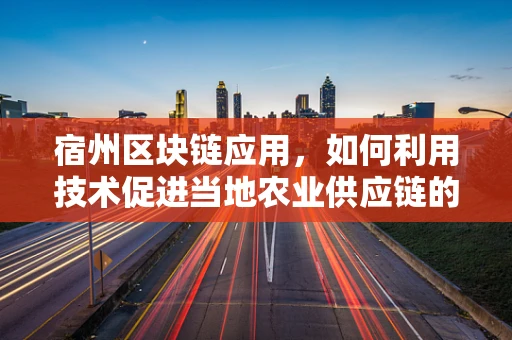 宿州区块链应用，如何利用技术促进当地农业供应链的透明与效率？