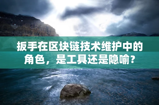 扳手在区块链技术维护中的角色，是工具还是隐喻？