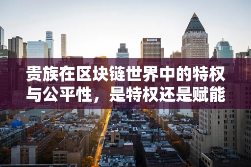 贵族在区块链世界中的特权与公平性，是特权还是赋能？