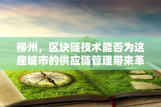 柳州，区块链技术能否为这座城市的供应链管理带来革新？