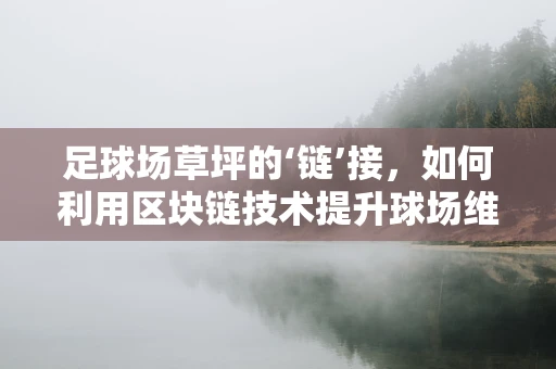 足球场草坪的‘链’接，如何利用区块链技术提升球场维护与可持续性？