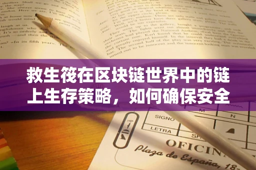 救生筏在区块链世界中的链上生存策略，如何确保安全与效率？