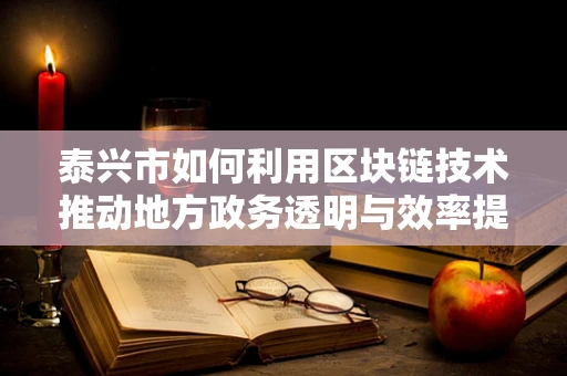 泰兴市如何利用区块链技术推动地方政务透明与效率提升？