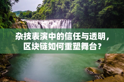 杂技表演中的信任与透明，区块链如何重塑舞台？