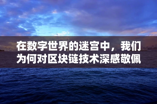 在数字世界的迷宫中，我们为何对区块链技术深感敬佩？