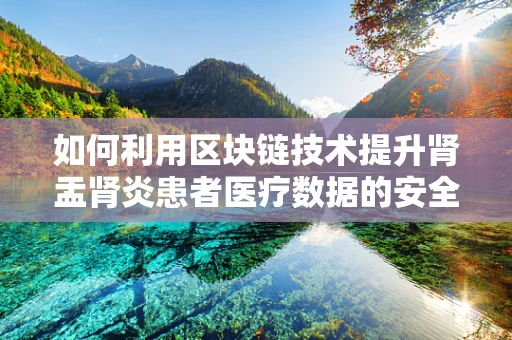 如何利用区块链技术提升肾盂肾炎患者医疗数据的安全性与透明度？