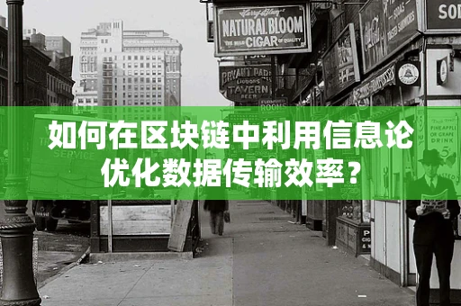 如何在区块链中利用信息论优化数据传输效率？