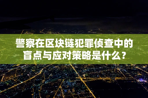 警察在区块链犯罪侦查中的盲点与应对策略是什么？