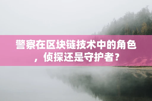 警察在区块链技术中的角色，侦探还是守护者？