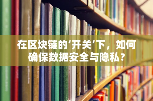 在区块链的‘开关’下，如何确保数据安全与隐私？