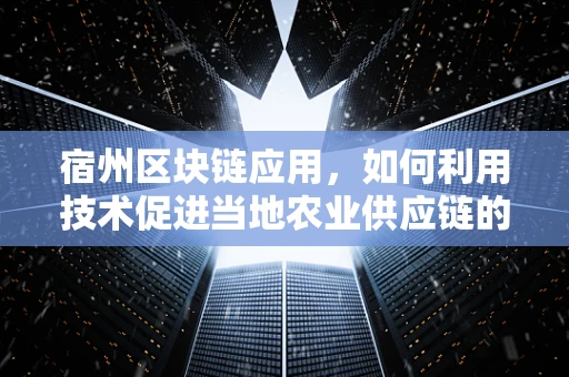 宿州区块链应用，如何利用技术促进当地农业供应链的透明与效率？