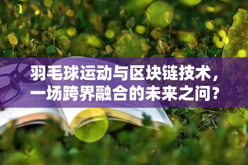 羽毛球运动与区块链技术，一场跨界融合的未来之问？