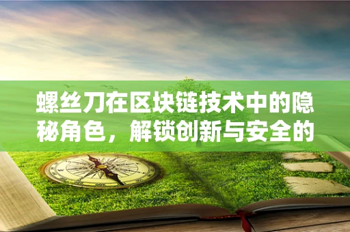 螺丝刀在区块链技术中的隐秘角色，解锁创新与安全的密钥？