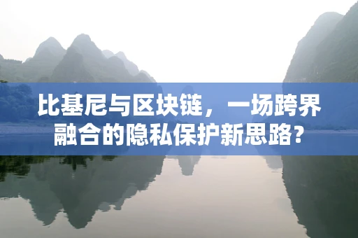 比基尼与区块链，一场跨界融合的隐私保护新思路？