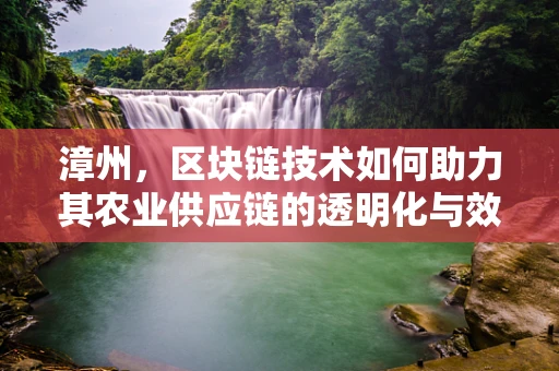 漳州，区块链技术如何助力其农业供应链的透明化与效率提升？