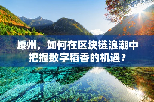 嵊州，如何在区块链浪潮中把握数字稻香的机遇？