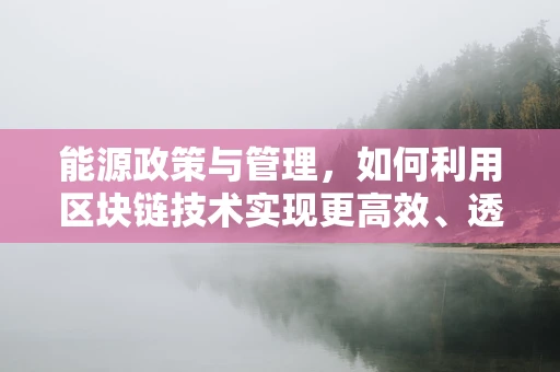 能源政策与管理，如何利用区块链技术实现更高效、透明的能源交易？