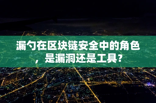 漏勺在区块链安全中的角色，是漏洞还是工具？