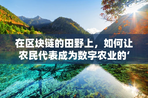 在区块链的田野上，如何让农民代表成为数字农业的‘新农人’？
