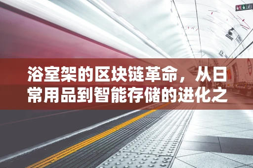 浴室架的区块链革命，从日常用品到智能存储的进化之路？