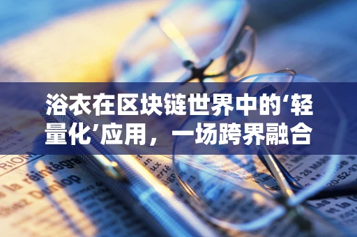 浴衣在区块链世界中的‘轻量化’应用，一场跨界融合的设想？