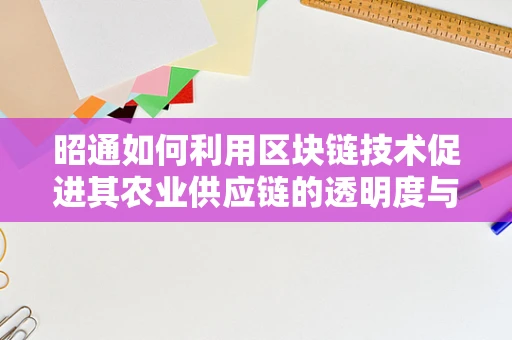 昭通如何利用区块链技术促进其农业供应链的透明度与效率？