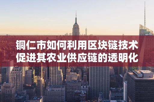 铜仁市如何利用区块链技术促进其农业供应链的透明化与效率？